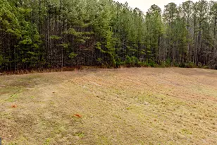 8817 Hwy 100, Hogansville, GA 30230 - Photo 84