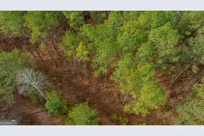 8817 Highway 100, Hogansville, GA 30230 - Photo 66