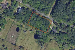 0 Carnochan Dr, Darien, GA 31305 - Photo 1