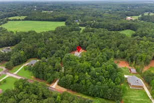 125 Maple Valley Dr, Jenkinsburg, GA 30234 - Photo 52
