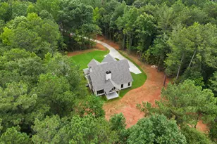 125 Maple Valley Dr, Jenkinsburg, GA 30234 - Photo 50