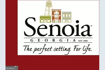 128 Loring Lane, Senoia, GA 30276 - Photo 12