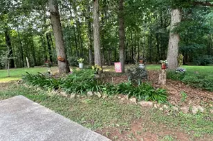 1014 Miss Amber Way, Locust Grove, GA 30248 - Photo 14