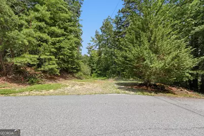 411 Hickory Nut Mountain, Tallulah Falls, GA 30573 - Photo 32