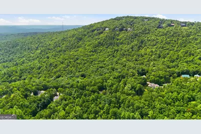411 Hickory Nut Mountain, Tallulah Falls, GA 30573 - Photo 38