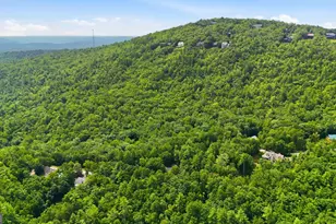 411 Hickory Nut Mountain, Tallulah Falls, GA 30573 - Photo 38