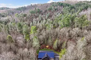 641 Bryant Farm Ln, Ellijay, GA 30540 - Photo 60