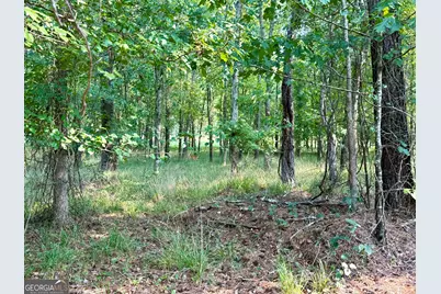 101 Stanton Drive, Eatonton, GA 31024 - Photo 10