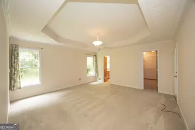 130 Wild Azaela Trail, Hampton, GA 30228 - Photo 54
