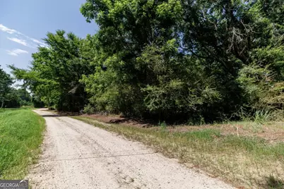 0 West Street, Carlton, GA 30627 - Photo 8