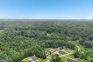 72 Water Stone Dr, Newnan, GA 30265 - Photo 86
