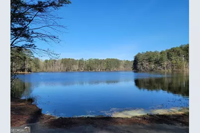 26 Parlor Circle, Sharpsburg, GA 30277 - Photo 24