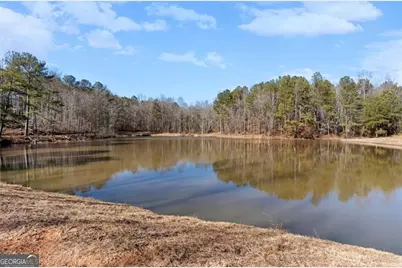 80 Hand Road, Bowdon, GA 30108 - Photo 50