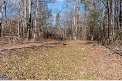 80 Hand Road, Bowdon, GA 30108 - Photo 44