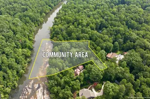 975 Chattahoochee Way, Cornelia, GA 30531 - Photo 46