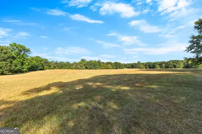 4091 Hollonville Rd, Williamson, GA 30292 - Photo 6