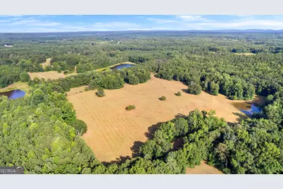 4091 Hollonville Rd, Williamson, GA 30292 - Photo 44
