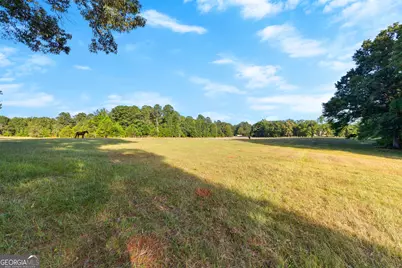 4091 Hollonville Rd, Williamson, GA 30292 - Photo 20