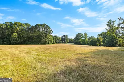 4091 Hollonville Rd, Williamson, GA 30292 - Photo 16