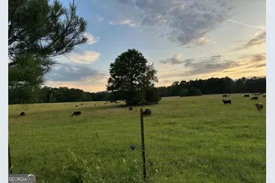 4091 Hollonville Rd, Williamson, GA 30292 - Photo 1