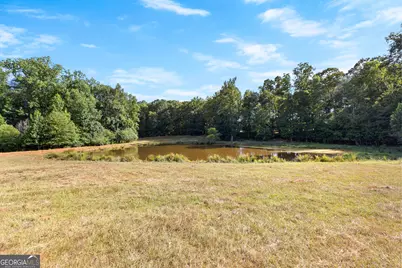 4091 Hollonville Rd, Williamson, GA 30292 - Photo 42