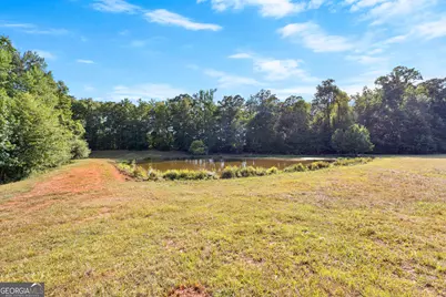 4091 Hollonville Rd, Williamson, GA 30292 - Photo 36