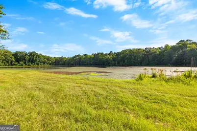 4091 Hollonville Rd, Williamson, GA 30292 - Photo 24