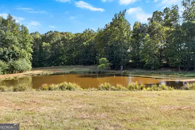 4091 Hollonville Rd, Williamson, GA 30292 - Photo 40