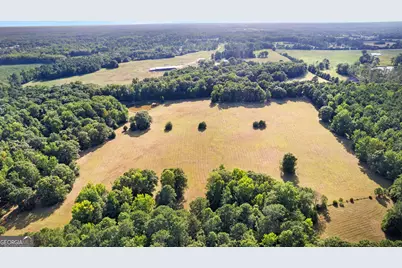 4091 Hollonville Rd, Williamson, GA 30292 - Photo 30