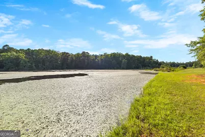 4091 Hollonville Rd, Williamson, GA 30292 - Photo 28
