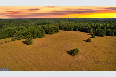 4091 Hollonville Rd, Williamson, GA 30292 - Photo 4