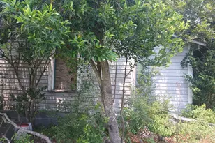 205 Perkins St, Alma, GA 31510 - Photo 4