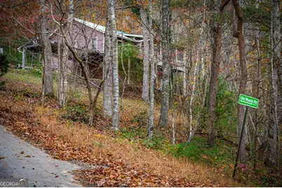 90 Hay Lane, Morganton, GA 30560 - Photo 84