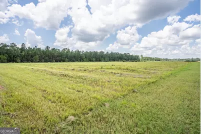 930 Old Surrency Road, Baxley, GA 31513 - Photo 6