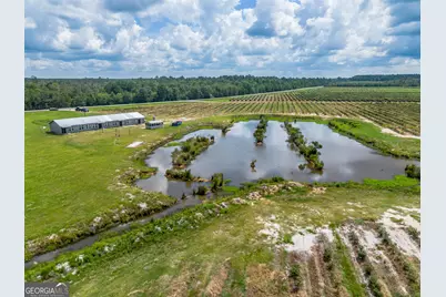 930 Old Surrency Road, Baxley, GA 31513 - Photo 24