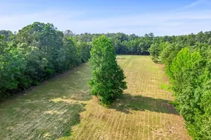 7525 Luthersville Rd, Gay, GA 30218 - Photo 78