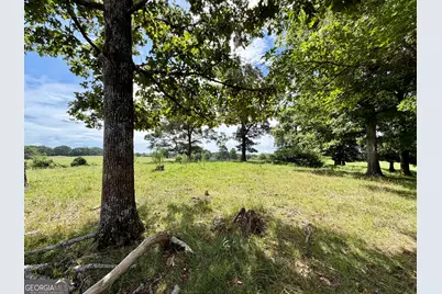 0 Double Bridge Connecter #LOT 3, Demorest, GA 30535 - Photo 8