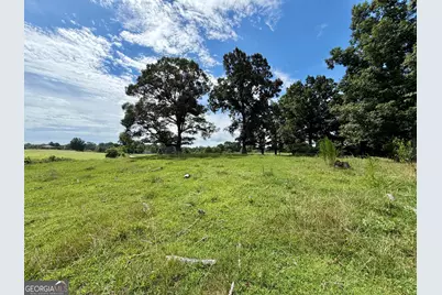 0 Double Bridge Connecter #LOT 3, Demorest, GA 30535 - Photo 6