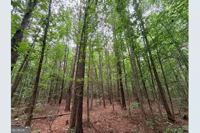 1 Norwood Road, Hull, GA 30646 - Photo 16