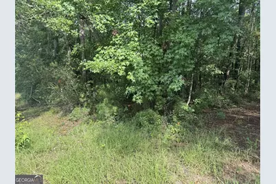 68 Johnson Road, Richmond Hill, GA 31324 - Photo 4
