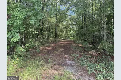 68 Johnson Road, Richmond Hill, GA 31324 - Photo 1