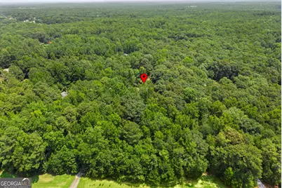 330 Mackey Road, McDonough, GA 30252 - Photo 36