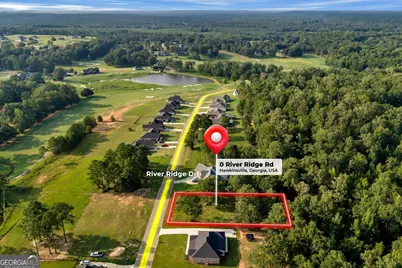 0 River Ridge Drive, Hawkinsville, GA 31036 - Photo 4