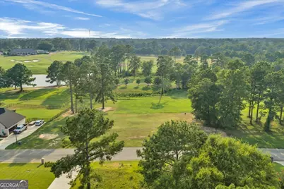 0 River Ridge Drive, Hawkinsville, GA 31036 - Photo 8
