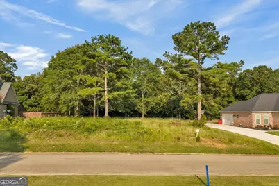 0 River Ridge Drive, Hawkinsville, GA 31036 - Photo 12