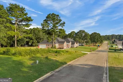 0 River Ridge Drive, Hawkinsville, GA 31036 - Photo 14