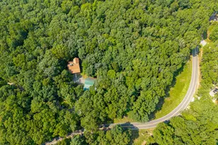 24 Indian Lake Rd, Mineral Bluff, GA 30559 - Photo 68