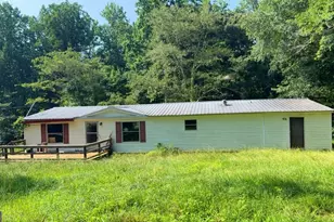 159 Young St, Buchanan, GA 30113 - Photo 1