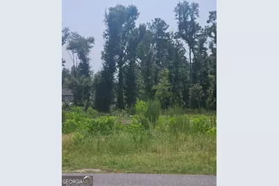 0 Chesley Drive, Vidalia, GA 30474 - Photo 2