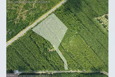 Lot 69 Magnolia Plantation, White Oak, GA 31568 - Photo 1